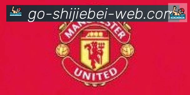 世界杯比分官方网站合作伙伴